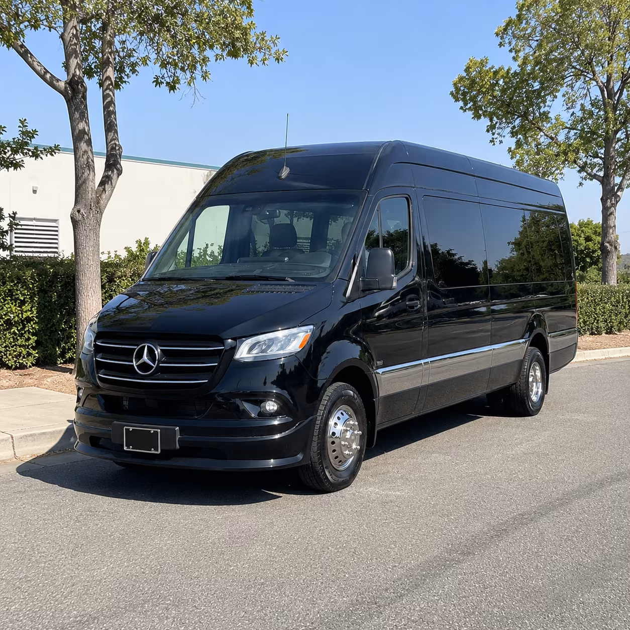 san francisco 18 passenger sprinter van