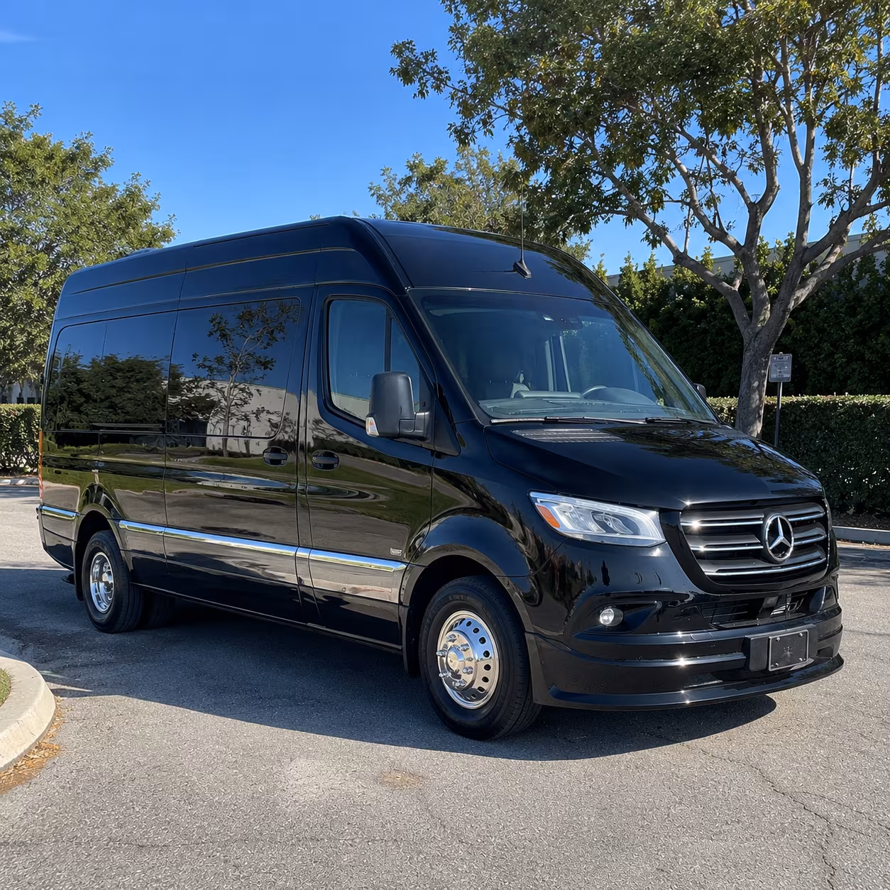 san francisco birthday sprinter van rental